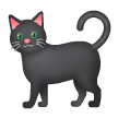 Gatto Nero
