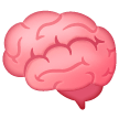 Cervello