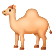 Dromedario
