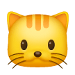 Muso Di Gatto
