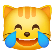 Gatto Con Lacrime Di Gioia