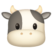 Muso Di Mucca