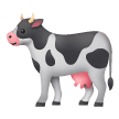 Mucca