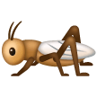 Grillo