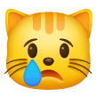 Gatto Che Piange