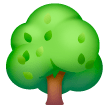 Albero Deciduo