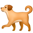 Cane