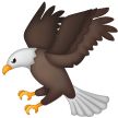 Aquila