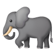 Elefante