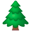 Albero Sempreverde