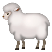 Pecora