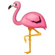 Fenicottero