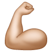 Bicipite: Carnagione Medio-Chiara