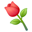 Fiore