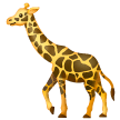 Giraffa