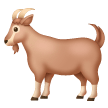 Capra