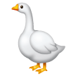 Oca