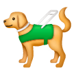 Cane Guida