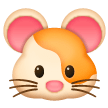 Criceto