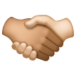 Stretta Di Mano: Carnagione Media, Carnagione Chiara