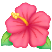 Ibisco