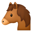 Muso Di Cavallo