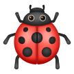 Coccinella