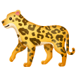 Leopardo