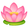 Loto