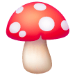 Fungo