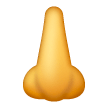 Naso