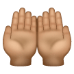 Mani Unite In Alto: Carnagione Media