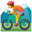 Ciclista Di Mountain Bike