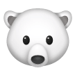 Orso Polare