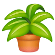 Pianta In Vaso