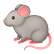 Ratto