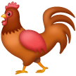 Gallo