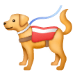 Cane Da Assistenza