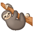Bradipo