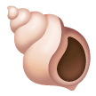 Conchiglia