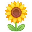 Girasole