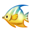 Pesce Tropicale