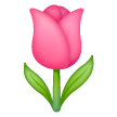 Tulipano