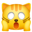 Gatto Esterrefatto