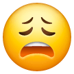 Faccina Esausta