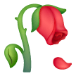 Fiore Appassito