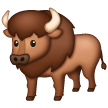 Bison Bison