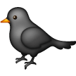 Oiseau noir Oiseau noir