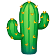 Cactus Cactus