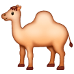 Dromadaire Dromadaire